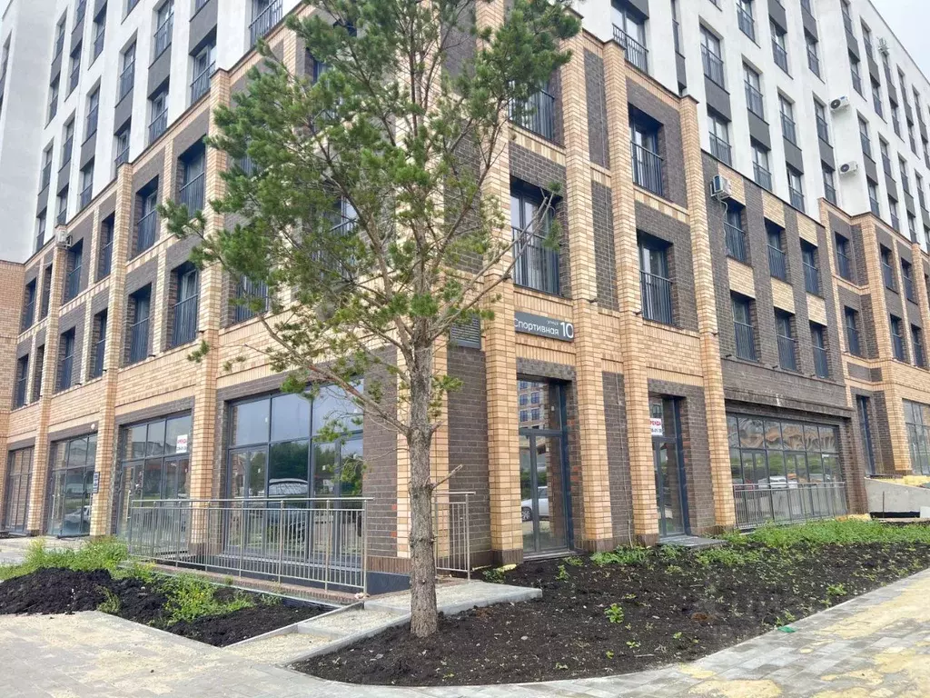 Торговая площадь в Челябинская область, Сосновский район, ... - Фото 1