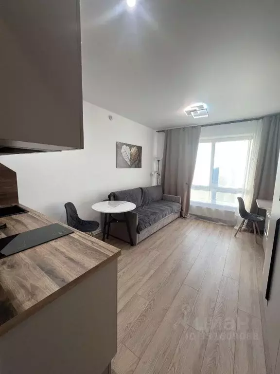 Студия Москва Алтуфьевское ш., 55к5 (19.7 м) - Фото 2