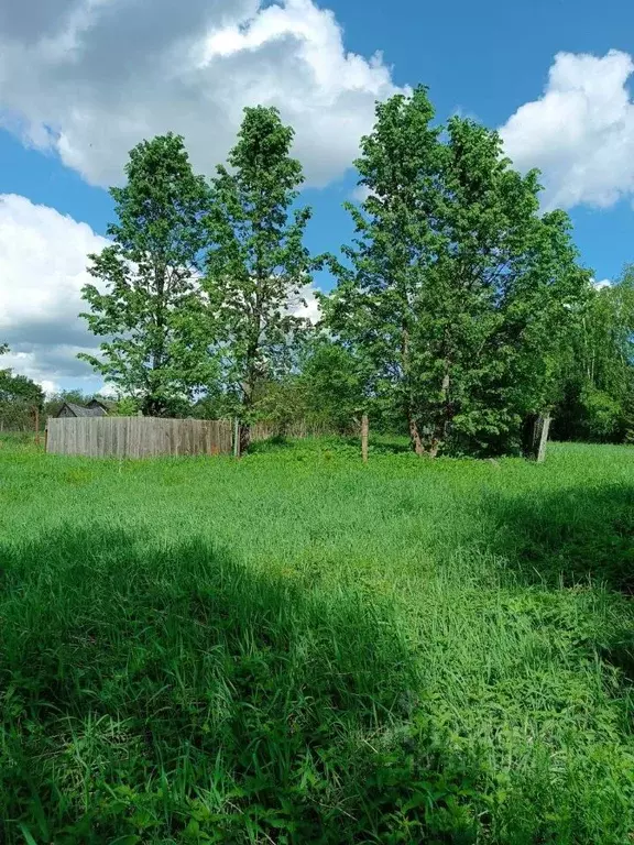 Участок в Тверская область, Вышневолоцкий муниципальный округ, д. ... - Фото 2