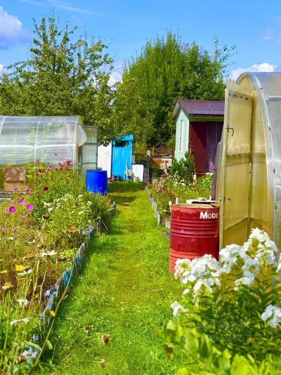 Дом в Московская область, Ликино-Дулево Орехово-Зуевский городской ... - Фото 1