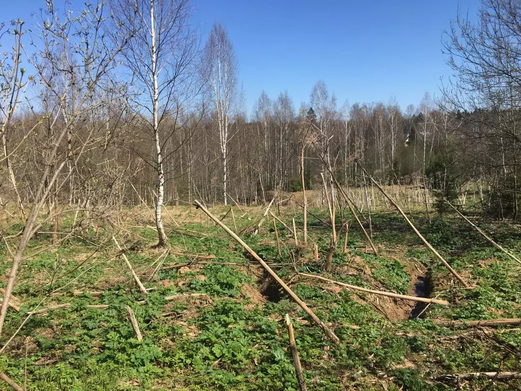 Участок в Московская область, Пушкинский городской округ, д. ... - Фото 1