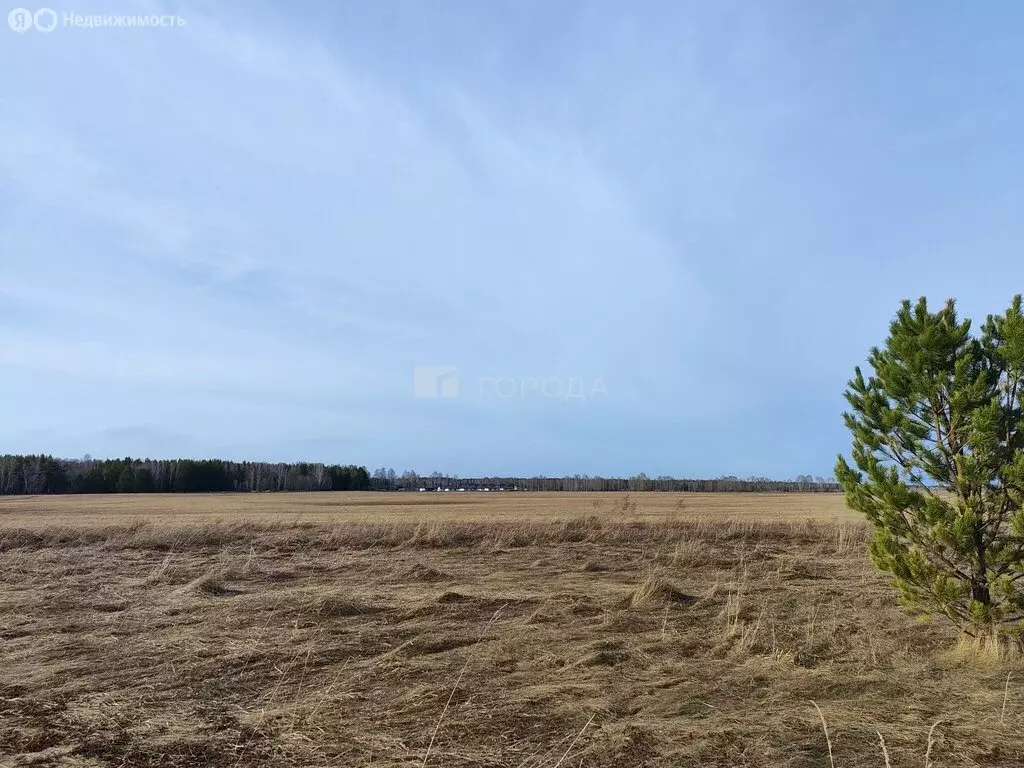 Участок в село Фирсово, микрорайон Рощино (8 м) - Фото 0