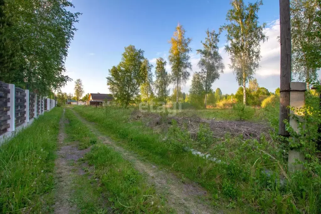 Участок в Тюменская область, Нижнетавдинский район, Фортуна СТ  (10.0 ... - Фото 1