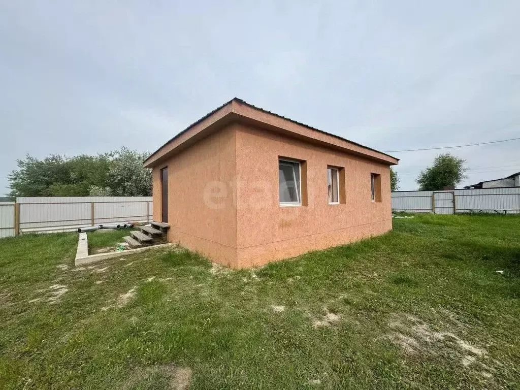 Дом в Амурская область, Свободненский район, с. Дмитриевка Трудовая ... - Фото 1