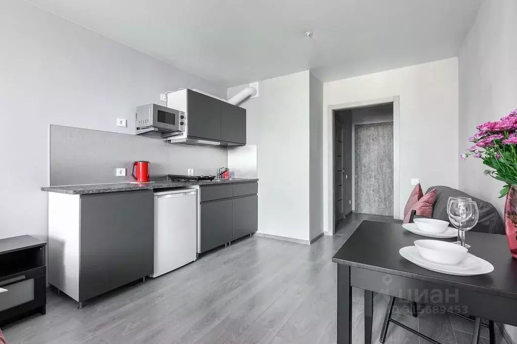 Студия Санкт-Петербург Детский пер., 2 (24.0 м) - Фото 1