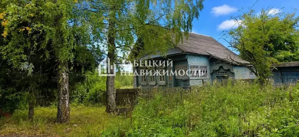 Участок в Тверская область, Рамешковский муниципальный округ, д. ... - Фото 1