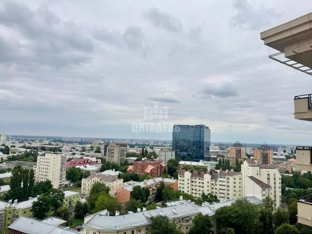 3-к кв. Воронежская область, Воронеж ул. Карла Маркса, 67/2 (111.0 м) - Фото 2