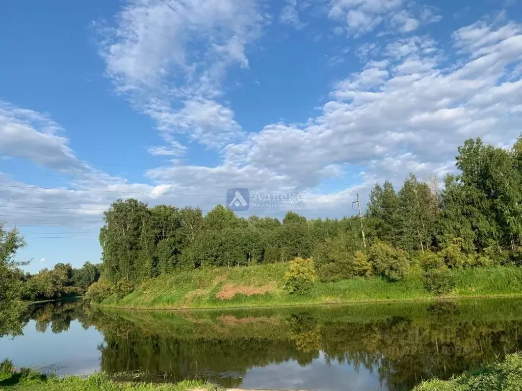 Участок в Тюменская область, Тюменский муниципальный округ, с. Каменка ... - Фото 1