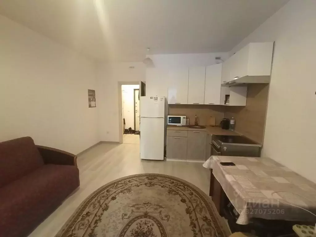 Студия Санкт-Петербург Железнодорожный просп., 14к1 (25.0 м) - Фото 1