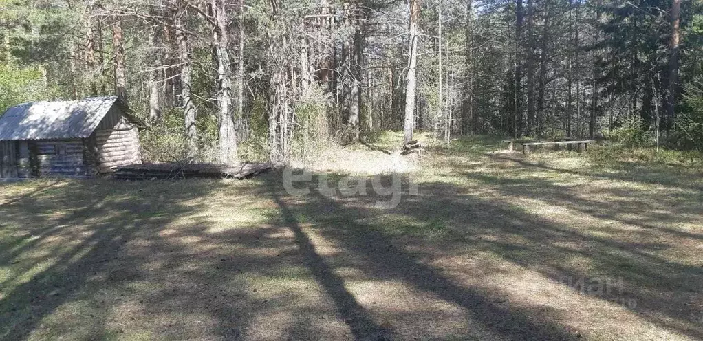 Участок в Вологодская область, Бабаево ул. Ухтомского (9.0 сот.) - Фото 1