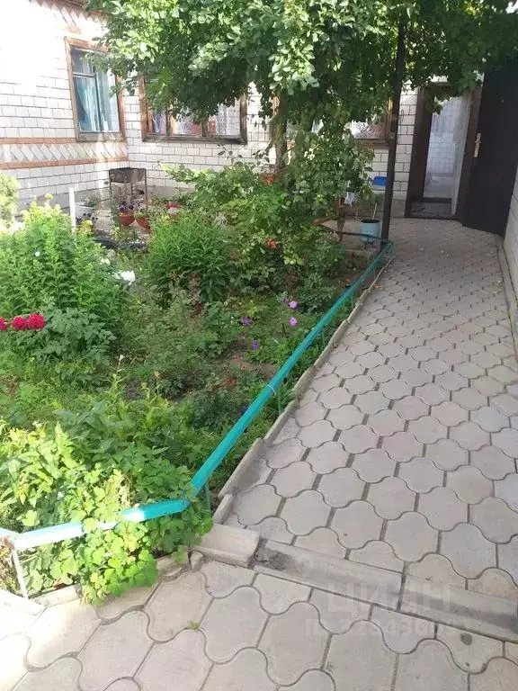 Дом в Алтайский край, Яровое Социалистическая ул., 8 (100 м) - Фото 1