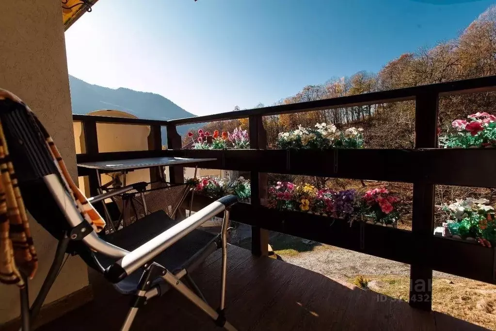 Студия Краснодарский край, Сочи Красная Поляна пгт, ул. Защитников ... - Фото 2