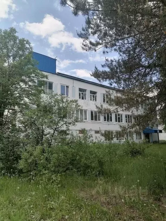 Склад в Московская область, Егорьевск ул. Промышленная, 1 (288 м) - Фото 0