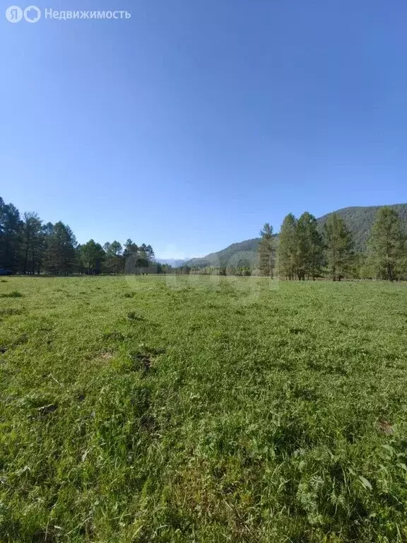 Участок в Республика Алтай, село Онгудай (9 м) - Фото 2