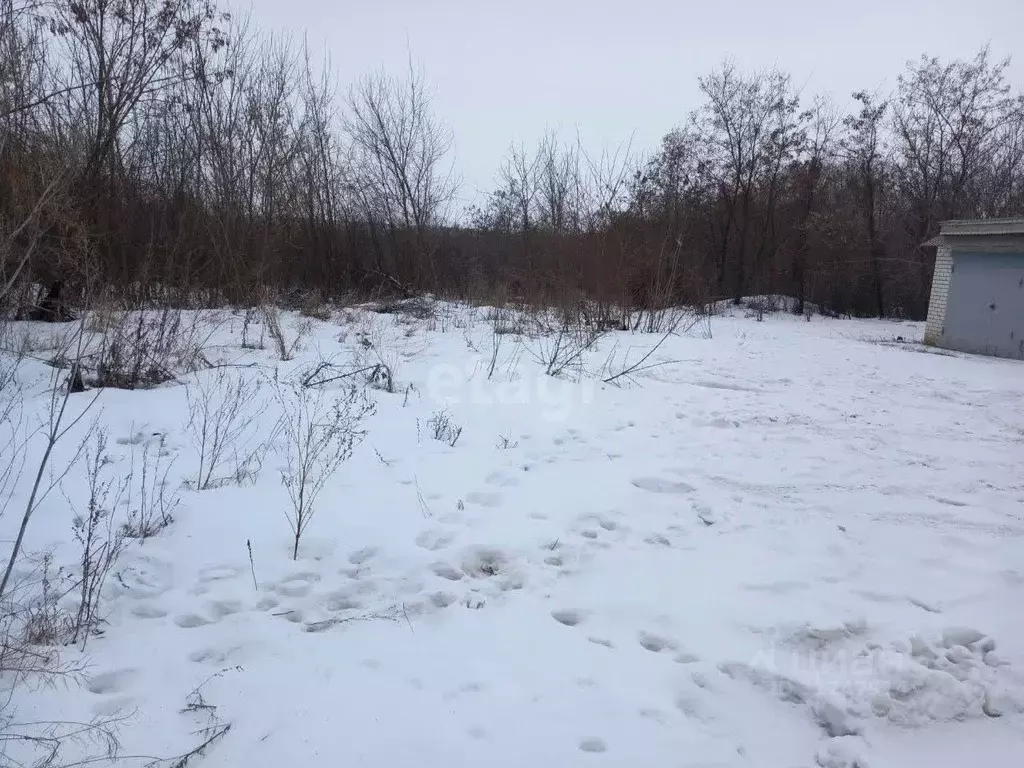 Участок в Белгородская область, Губкин Горняк-Мичуринец СТ,  (7.62 ... - Фото 0