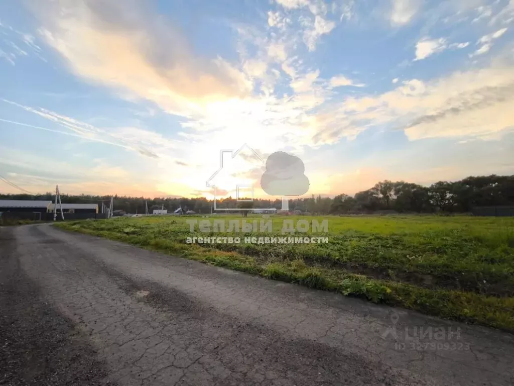 Участок в Московская область, Щелково городской округ, Орловские ... - Фото 2