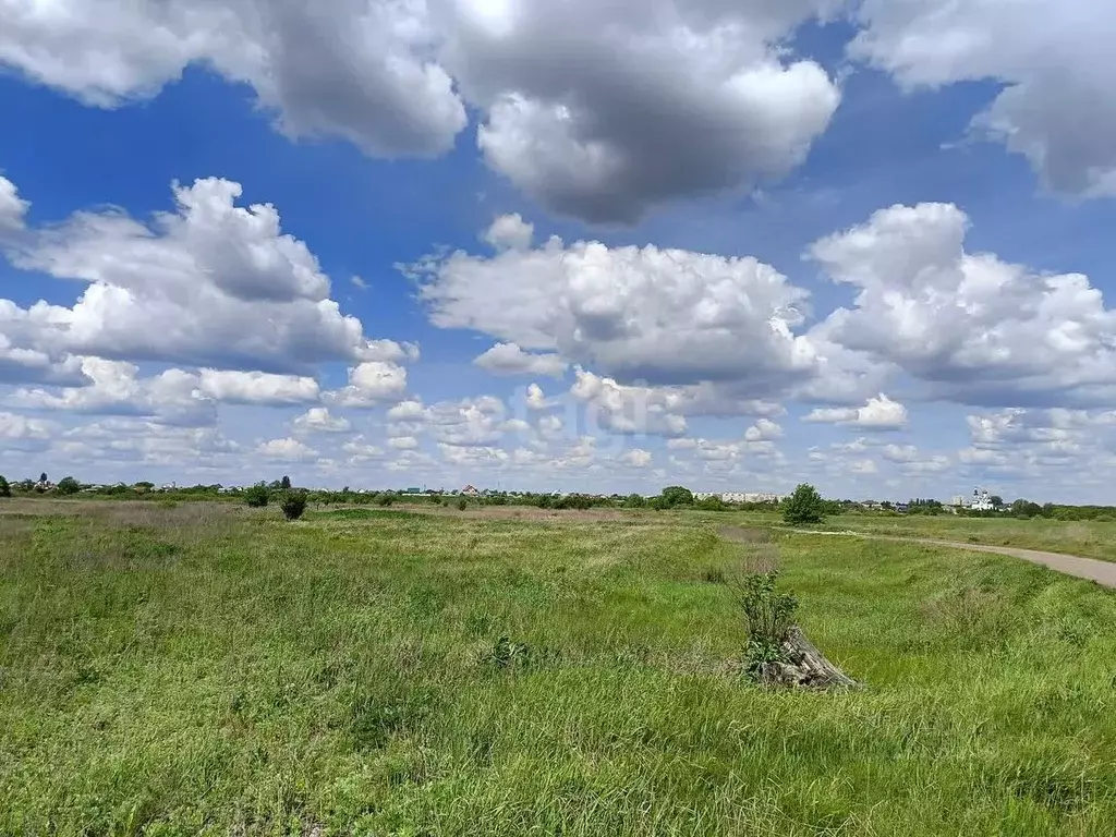 Участок в Тамбовская область, Тамбов городской округ, с. Бокино ул. ... - Фото 0