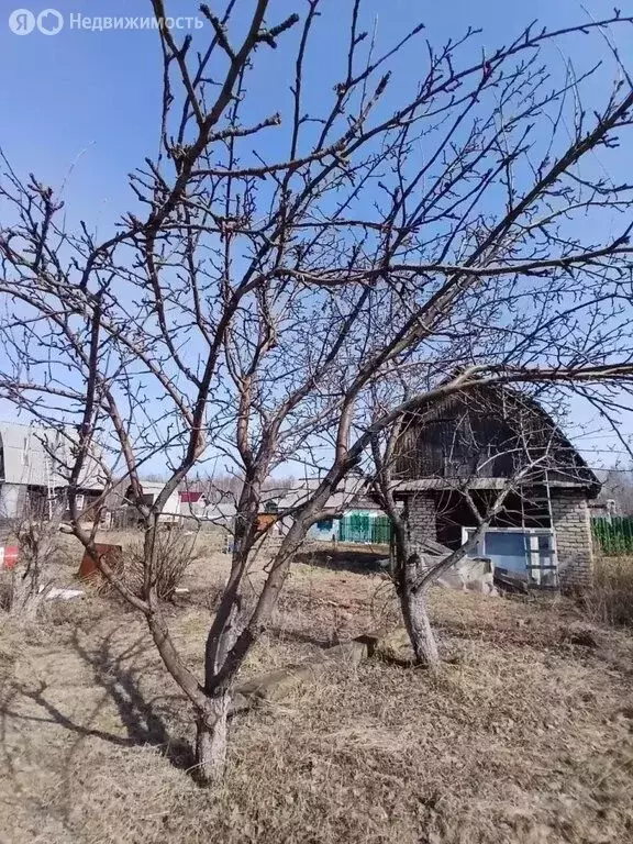 Участок в Кировград, СНТ Кедр (6 м) - Фото 2