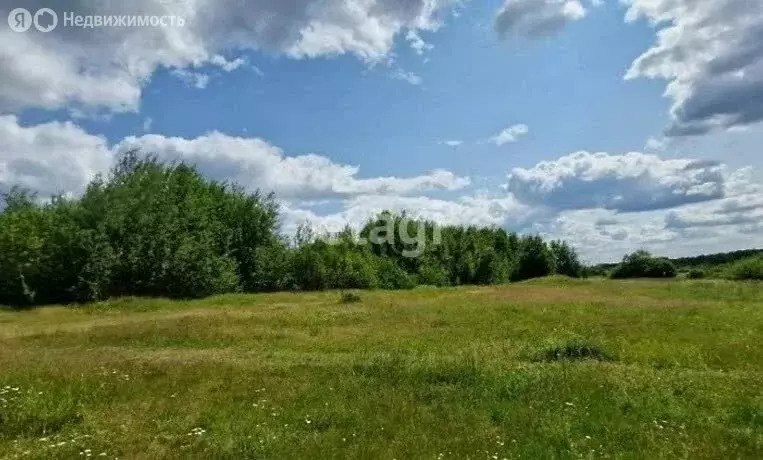 Участок в Нижний Тагил, Дзержинский район, микрорайон Вагонка (16 м) - Фото 0