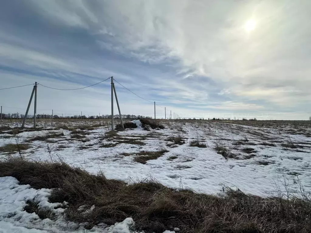 Участок в Татарстан, Лаишево ул. Ленина (6.0 сот.) - Фото 1