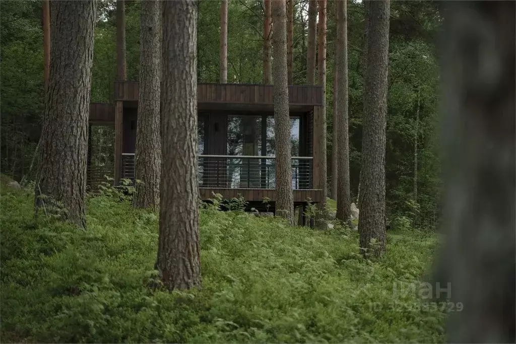 Дом в Ленинградская область, Выборгский район, Приморское городское ... - Фото 1