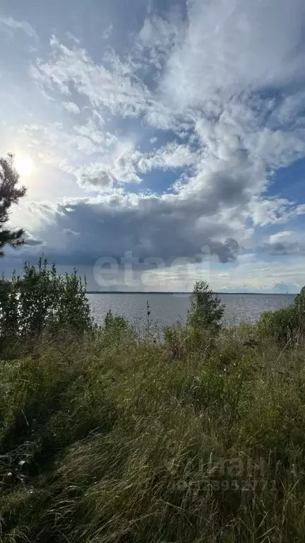 Участок в Нижегородская область, Сокольский муниципальный округ, д. ... - Фото 1