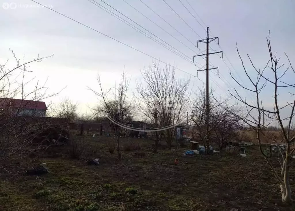 Участок в посёлок городского типа Янтарный, СНТ Садовник, Берёзовая ... - Фото 2