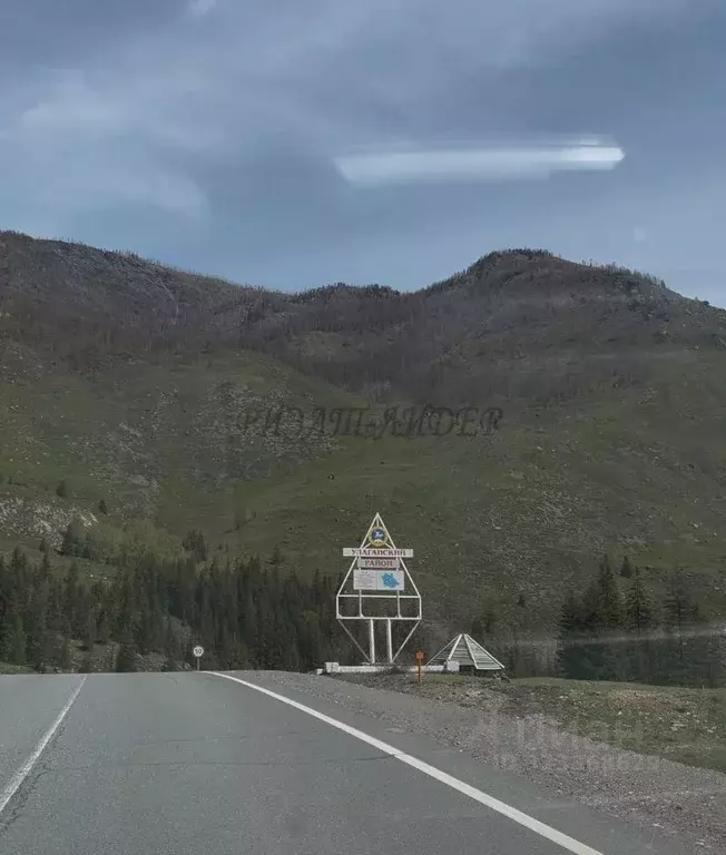 Участок в Алтай, Улаганский район, с. Чибит Молодежная ул., 29А (12.0 ... - Фото 2