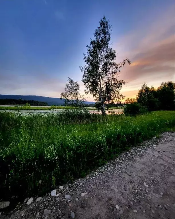 Участок в Иркутская область, Шелеховский район, Баклашинское ... - Фото 0