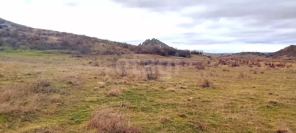 Участок в Крым, Феодосия муниципальный округ, Щебетовка пгт ул. ... - Фото 1