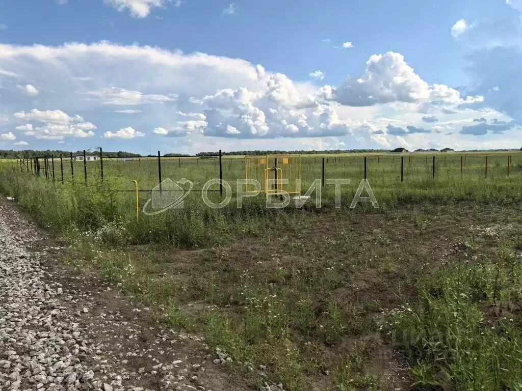 Участок в Тюменская область, Тюменский район, Новокаменский кп  (10.0 ... - Фото 1