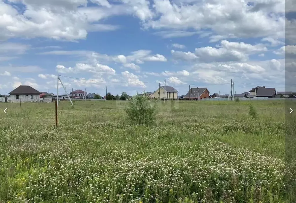 Участок в Пермский край, Пермский муниципальный округ, Аникина Гора ... - Фото 1