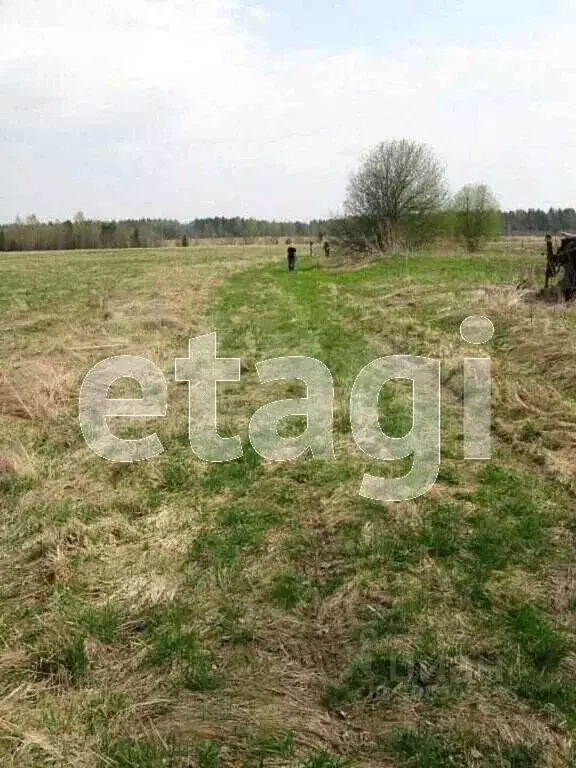 Участок в Вологодская область, Кадуйский муниципальный округ, д. ... - Фото 0