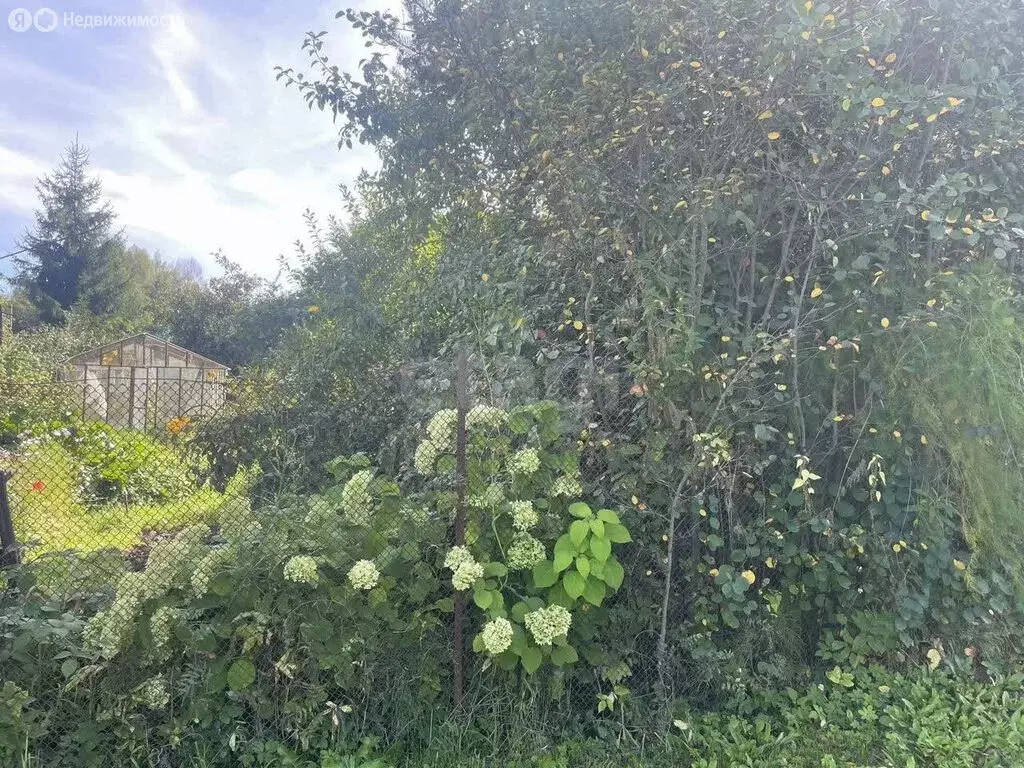 Участок в Кострома, СТ Виктория-2 (5 м) - Фото 2