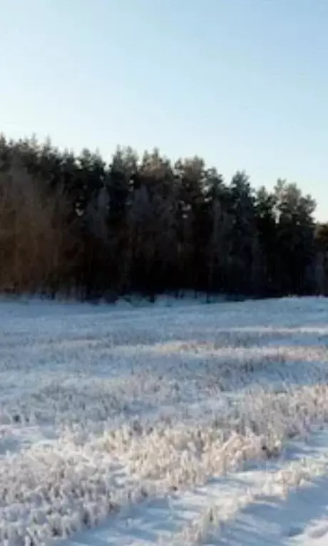 Участок в Московская область, Чехов муниципальный округ, д. Алачково  ... - Фото 1