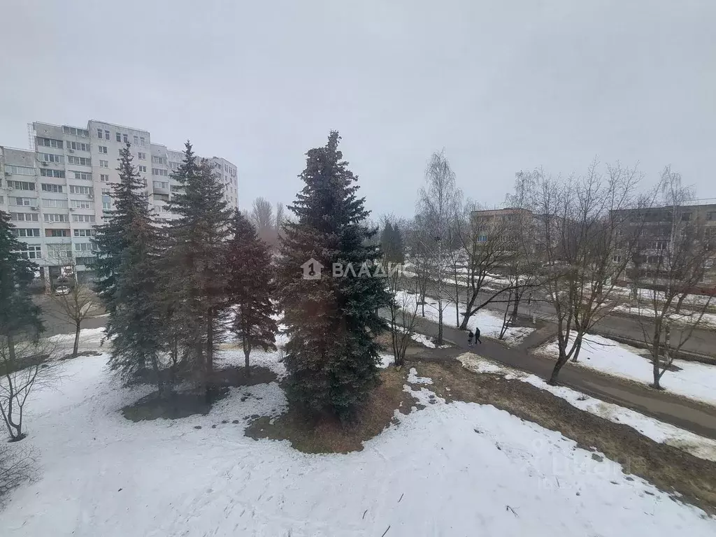 4-к кв. Московская область, Воскресенск Лопатинский мкр, ул. ... - Фото 2