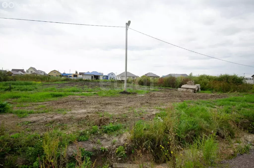 Участок в Ялуторовск, улица Егорова (10.23 м) - Фото 2