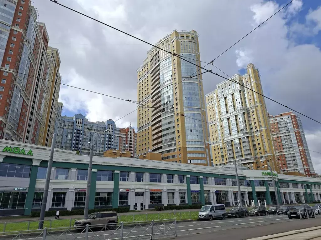 3-к кв. Санкт-Петербург просп. Просвещения, 43 (66.8 м) - Фото 1