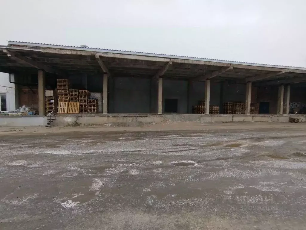 Склад в Самарская область, Кинель ул. Маяковского, 92 (300 м) - Фото 2