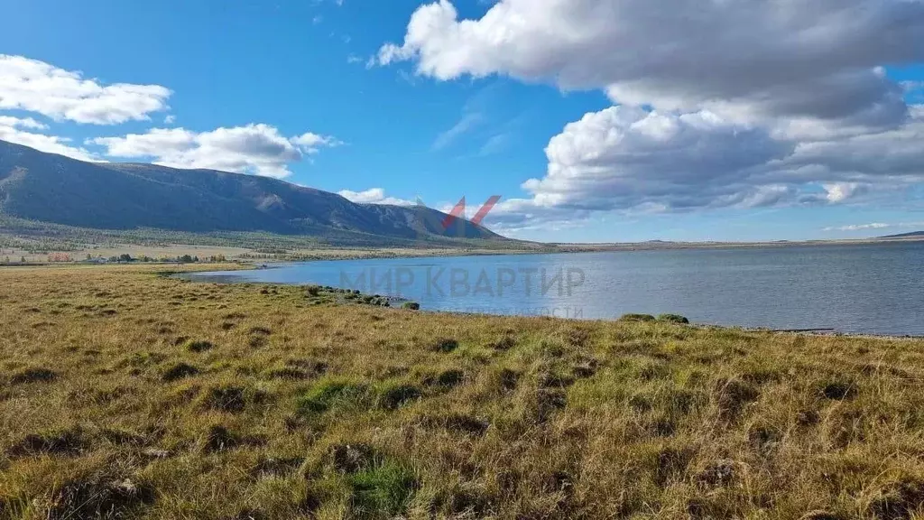 Участок в Тыва, Тандинский кожуун, с. Дурген ул. Шоссейная (43.28 ... - Фото 1