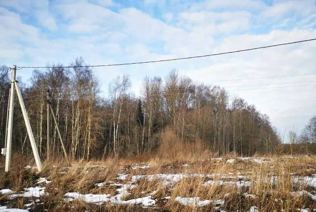 Участок в Московская область, Сергиево-Посадский городской округ, д. ... - Фото 1