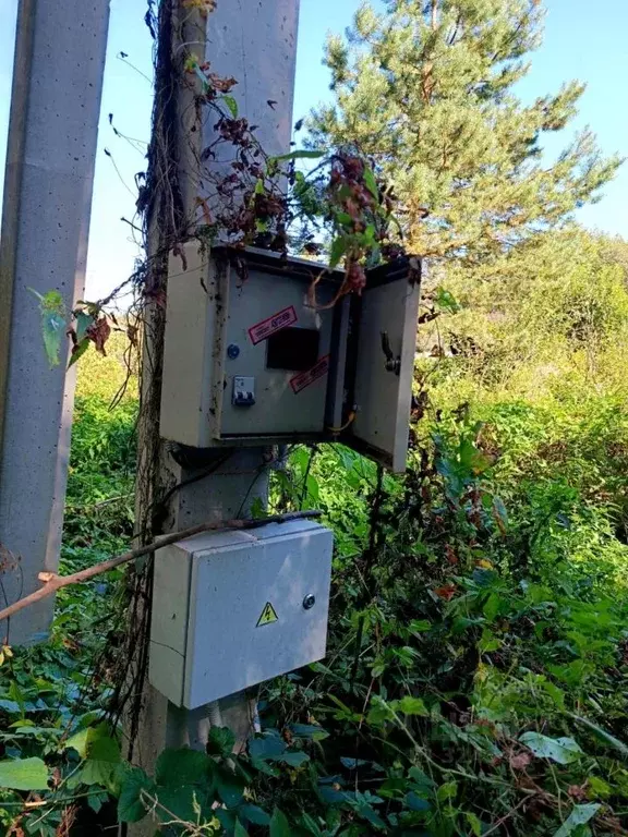 Участок в Калужская область, Ферзиковский муниципальный округ, ... - Фото 2