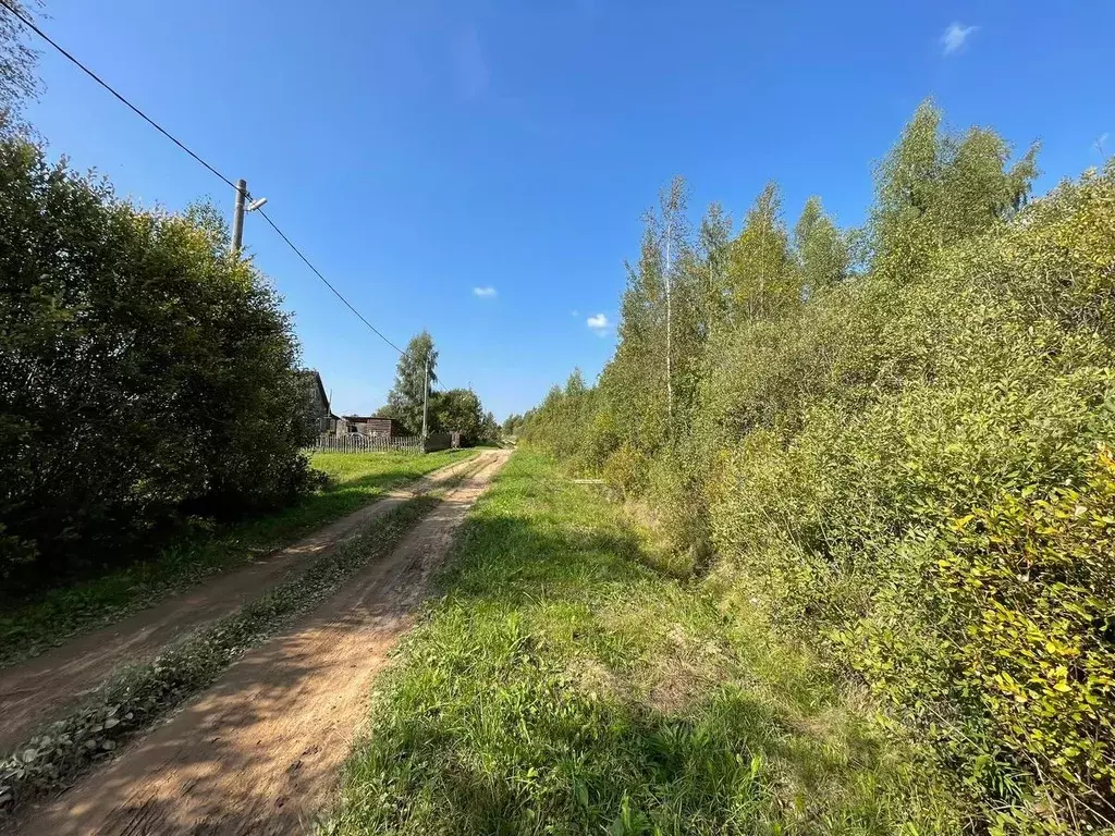 Участок в Новгородская область, Новгородский район, Бронницкое с/пос, ... - Фото 0