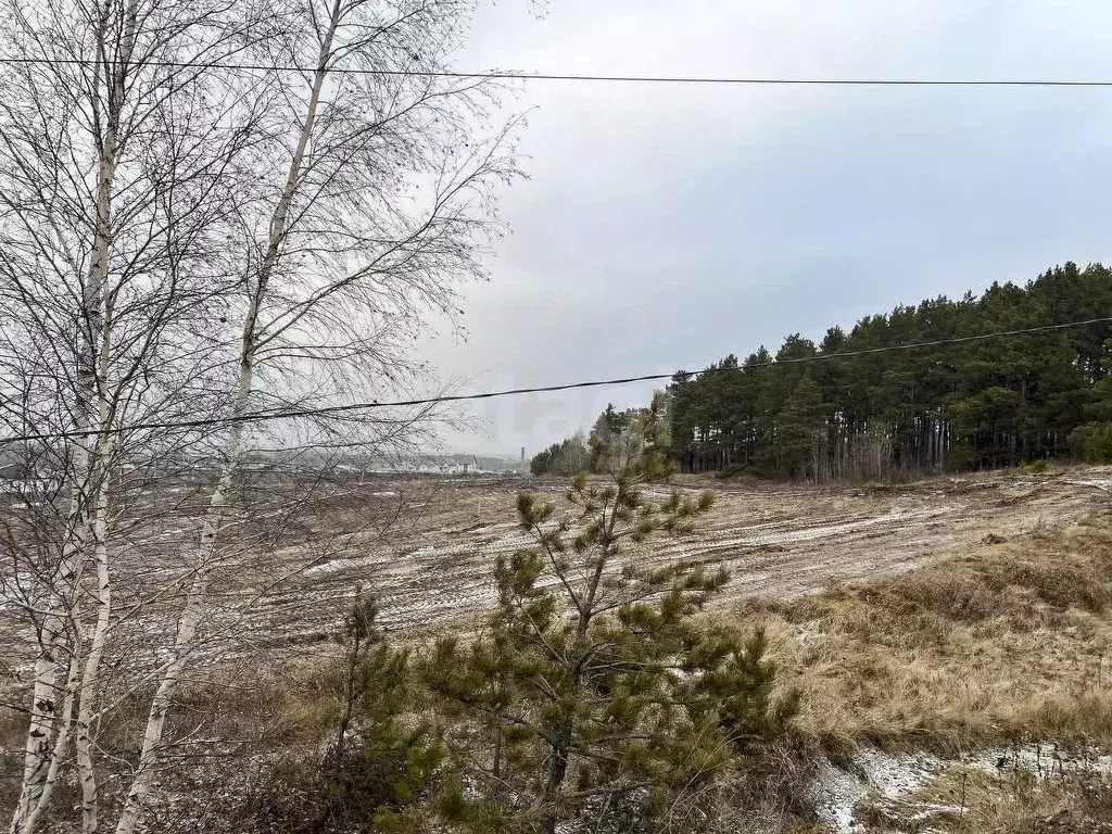 Участок в Свердловская область, Сысертский муниципальный округ, с. ... - Фото 1