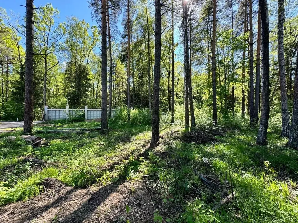Участок в Московская область, Химки Новогорск мкр, ул. Сосновая (20.6 ... - Фото 1