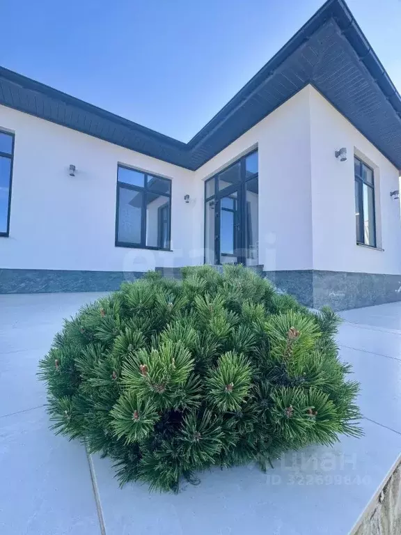 Дом в Краснодарский край, Анапа муниципальный округ, с. Супсех ул. ... - Фото 1