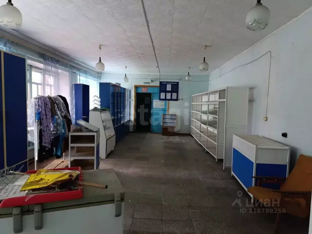 Торговая площадь в Амурская область, Благовещенский район, с. ... - Фото 1