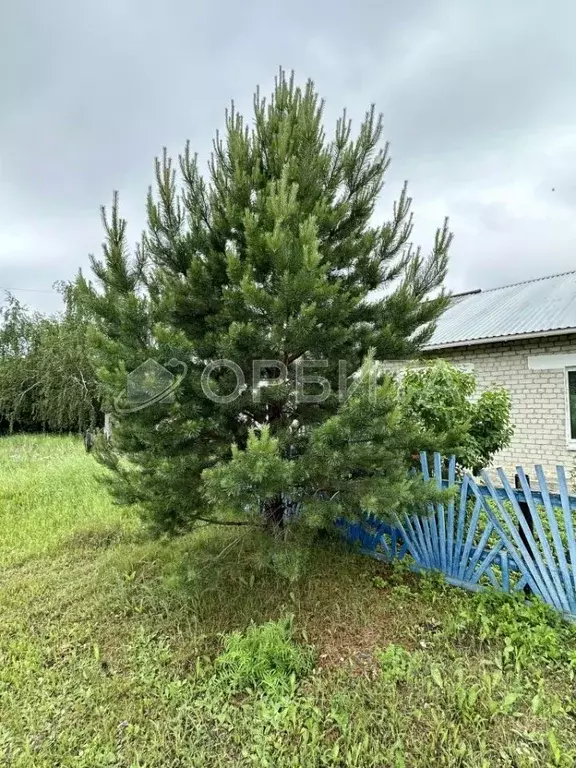 Дом в Тюменская область, Тюменский муниципальный округ, д. Зырянка  ... - Фото 2