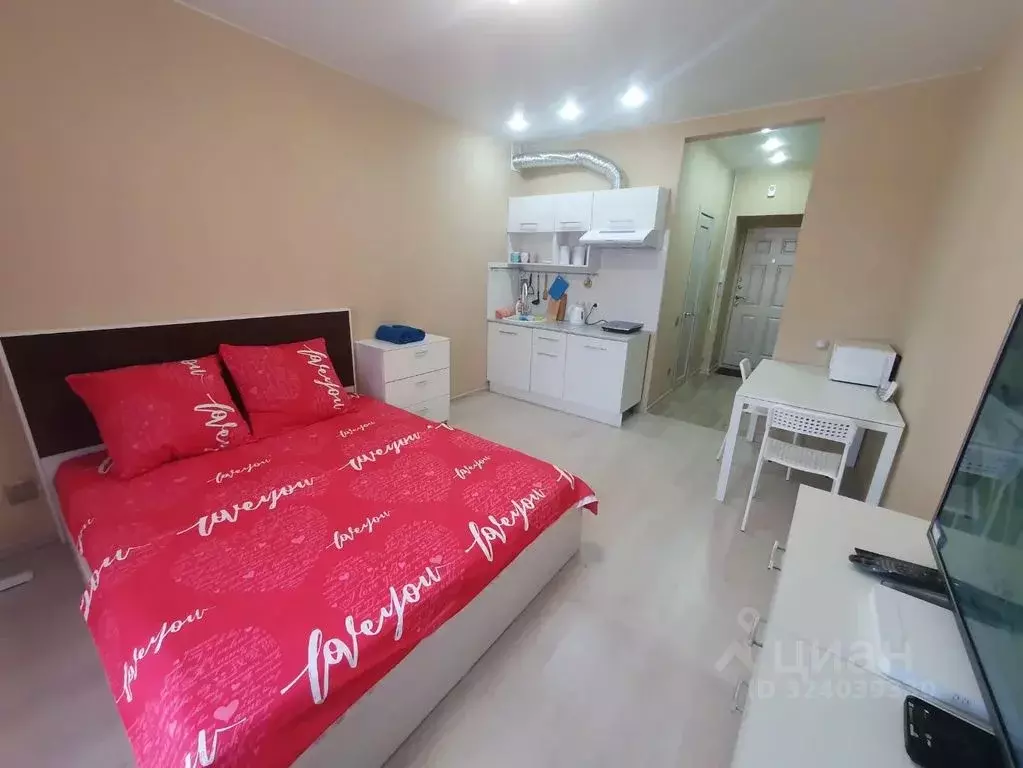 Студия Алтайский край, Барнаул ул. Антона Петрова, 221Д/1 (28.0 м) - Фото 2