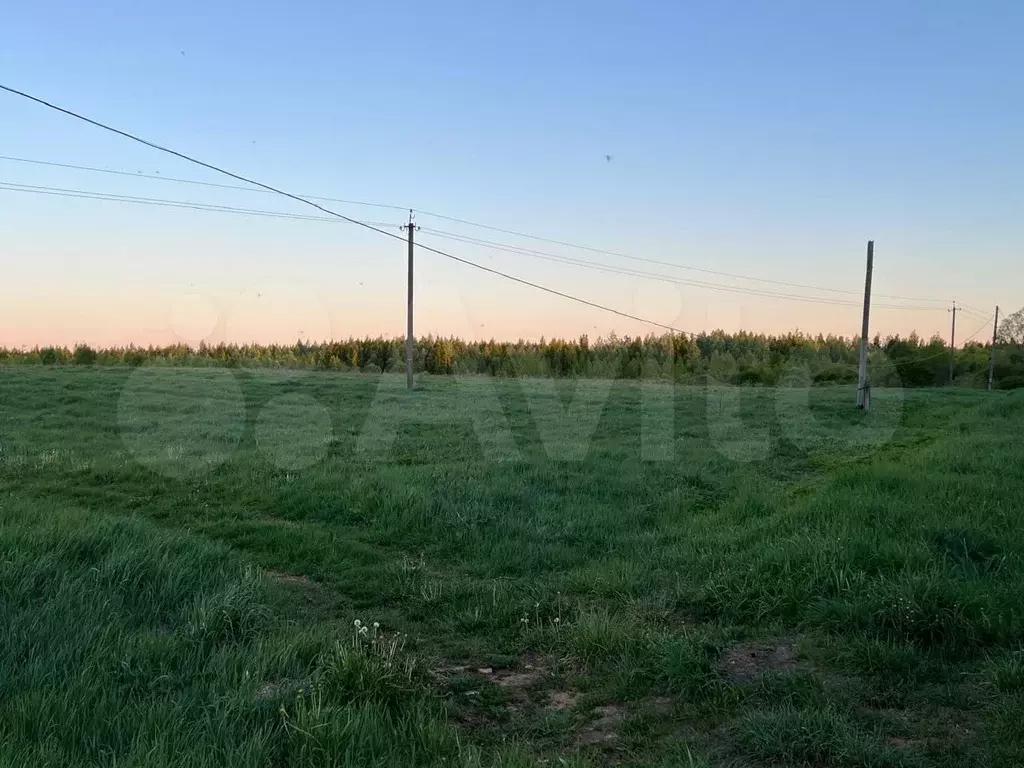 Участок 10 сот. (ИЖС) - Фото 1